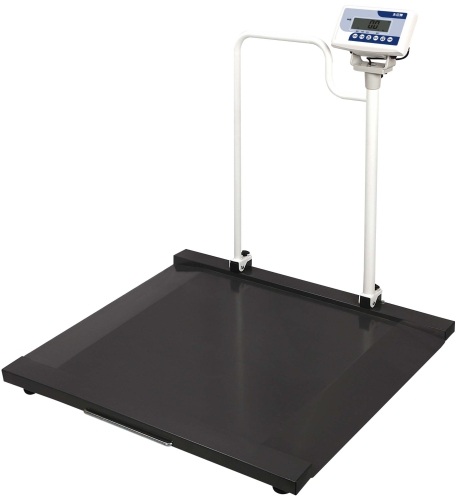 Wheelchair Scale with handrail